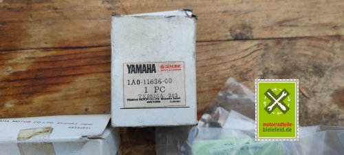 IMG_20230828_105418